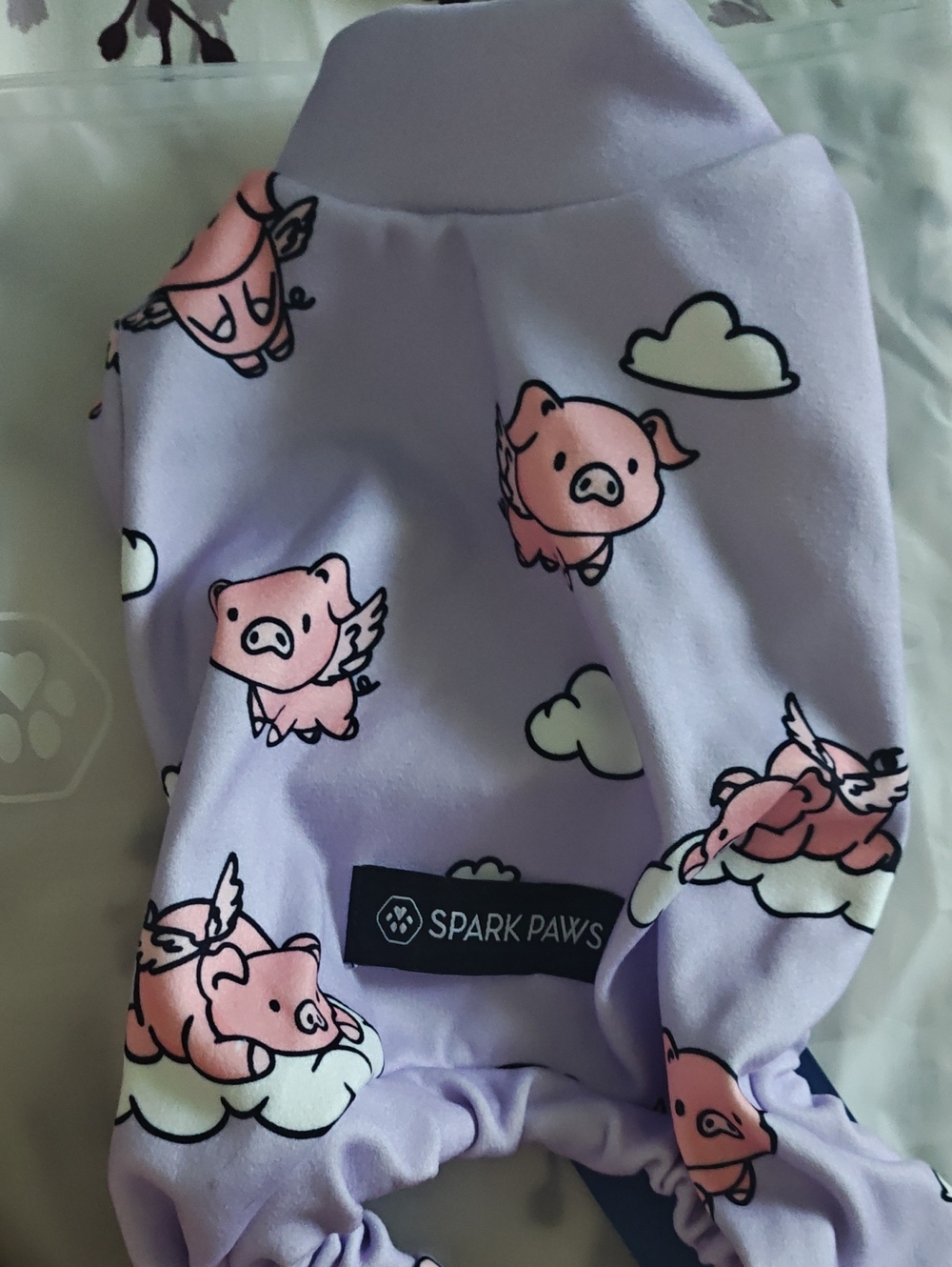 Spark Paws When Pigs Fly (S)
